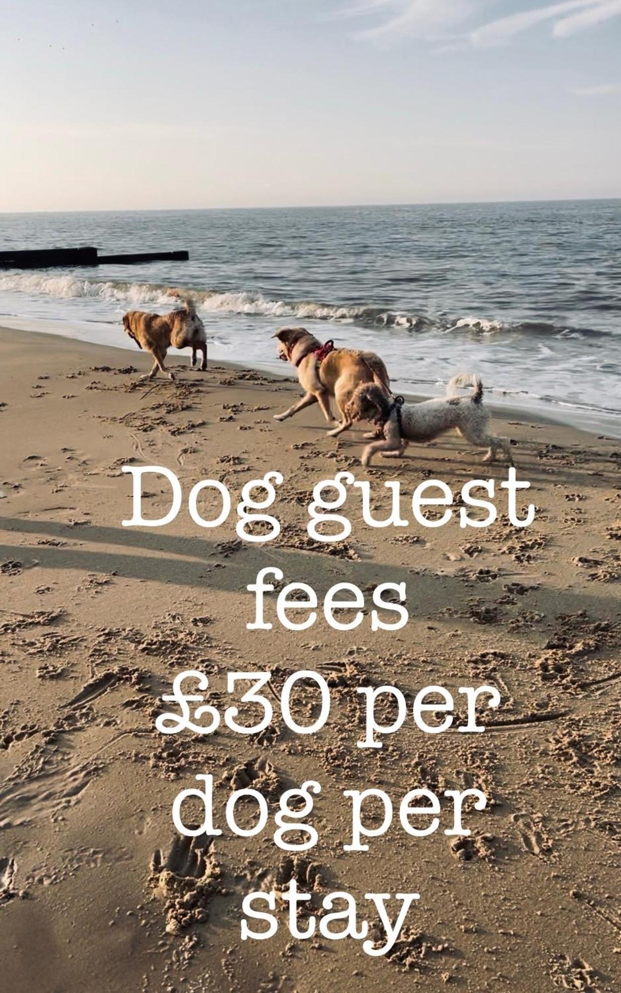 הוילה Sea Palling Coastal Terrace Dogs Welcome Optional Hot Tub מראה חיצוני תמונה